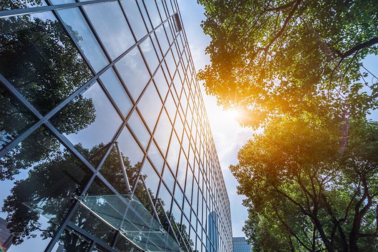 玻璃办公楼从外面看，阳光和树木挨着它